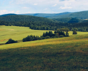 beskid-icon