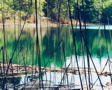 plitvice-icon