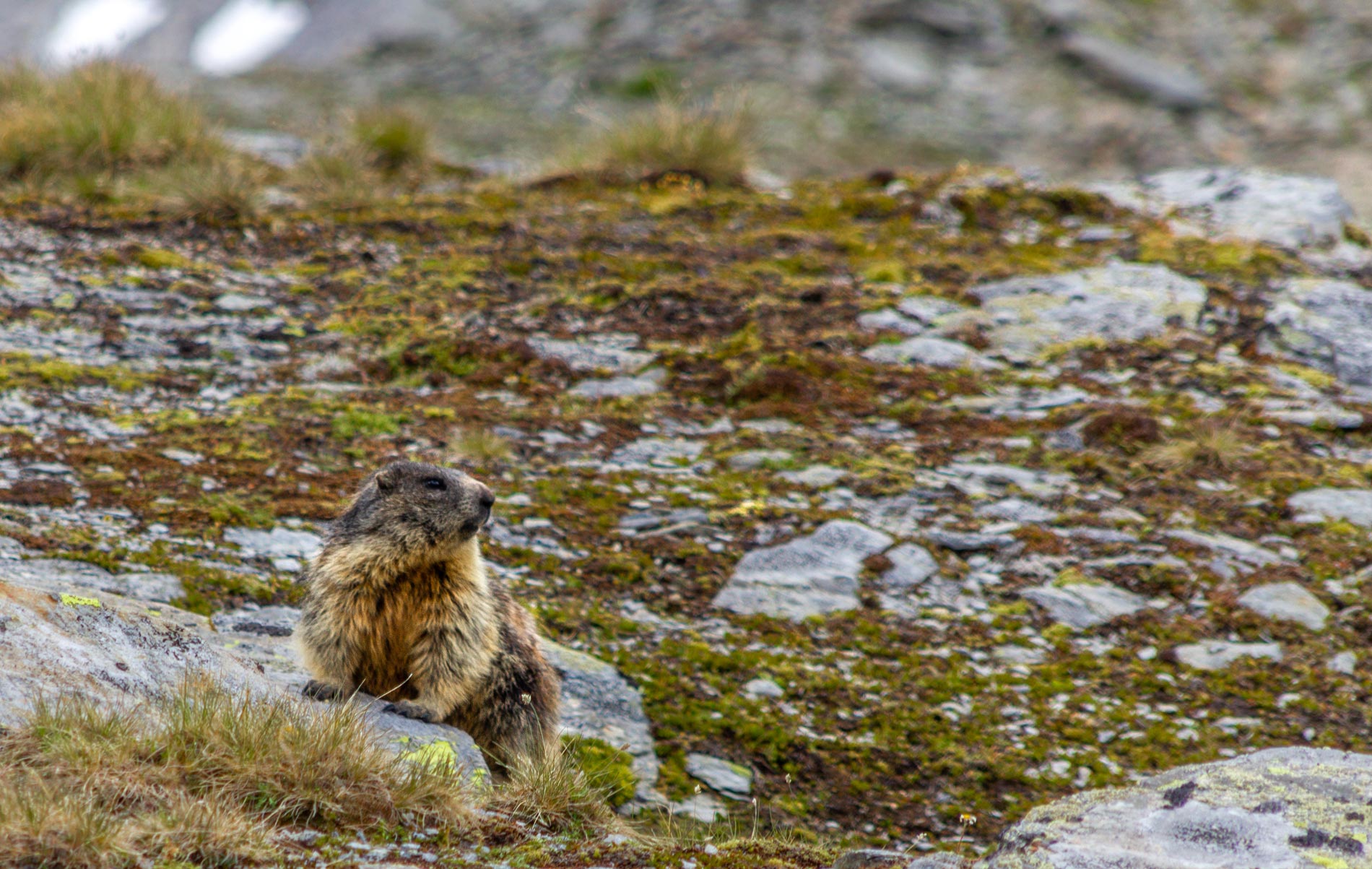 Grossglockner na motocyklu