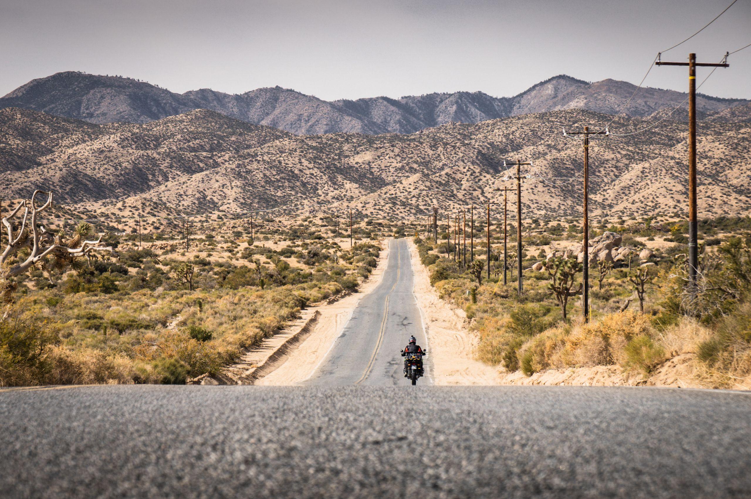 Joshua Tree Park