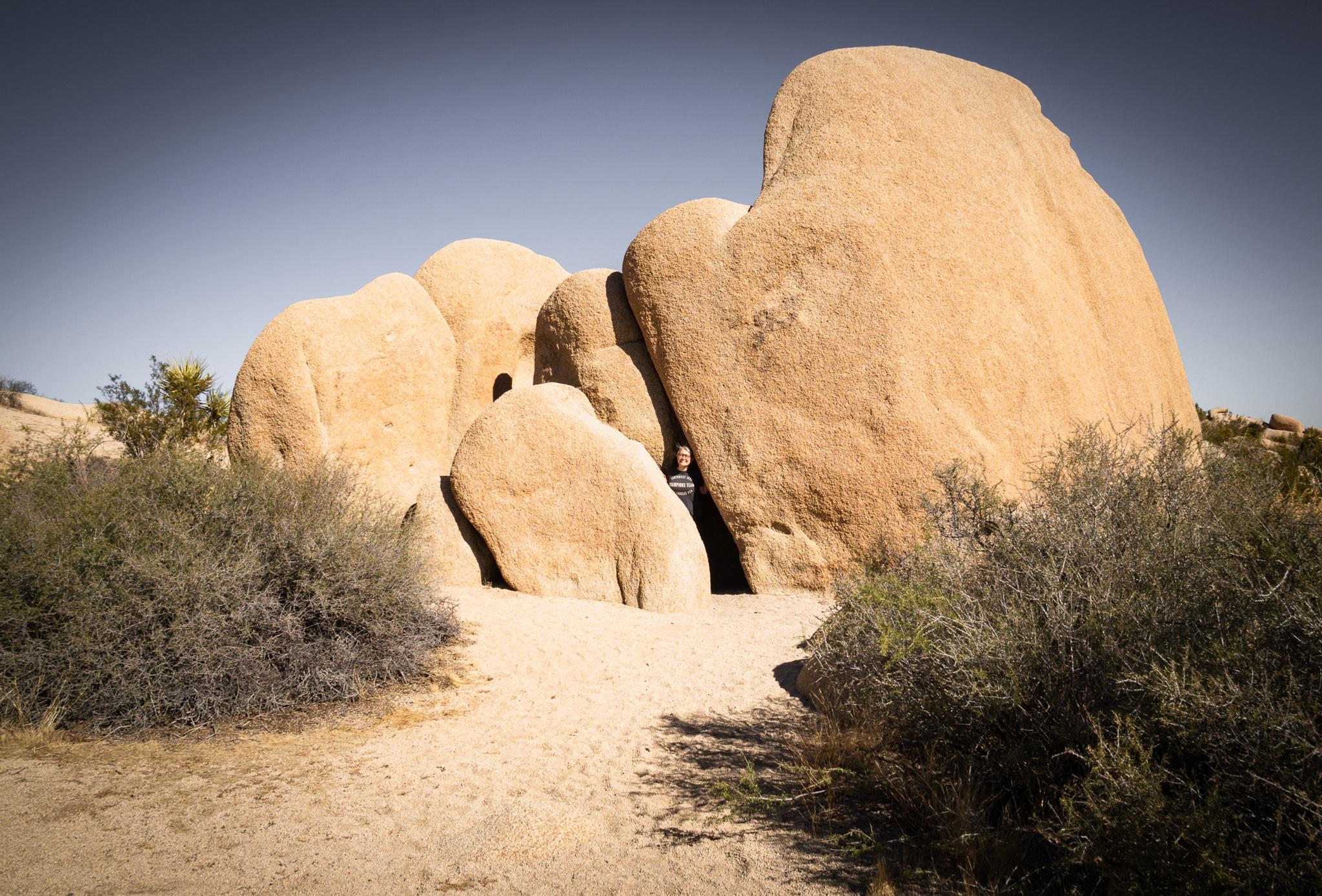 Joshua Tree Park