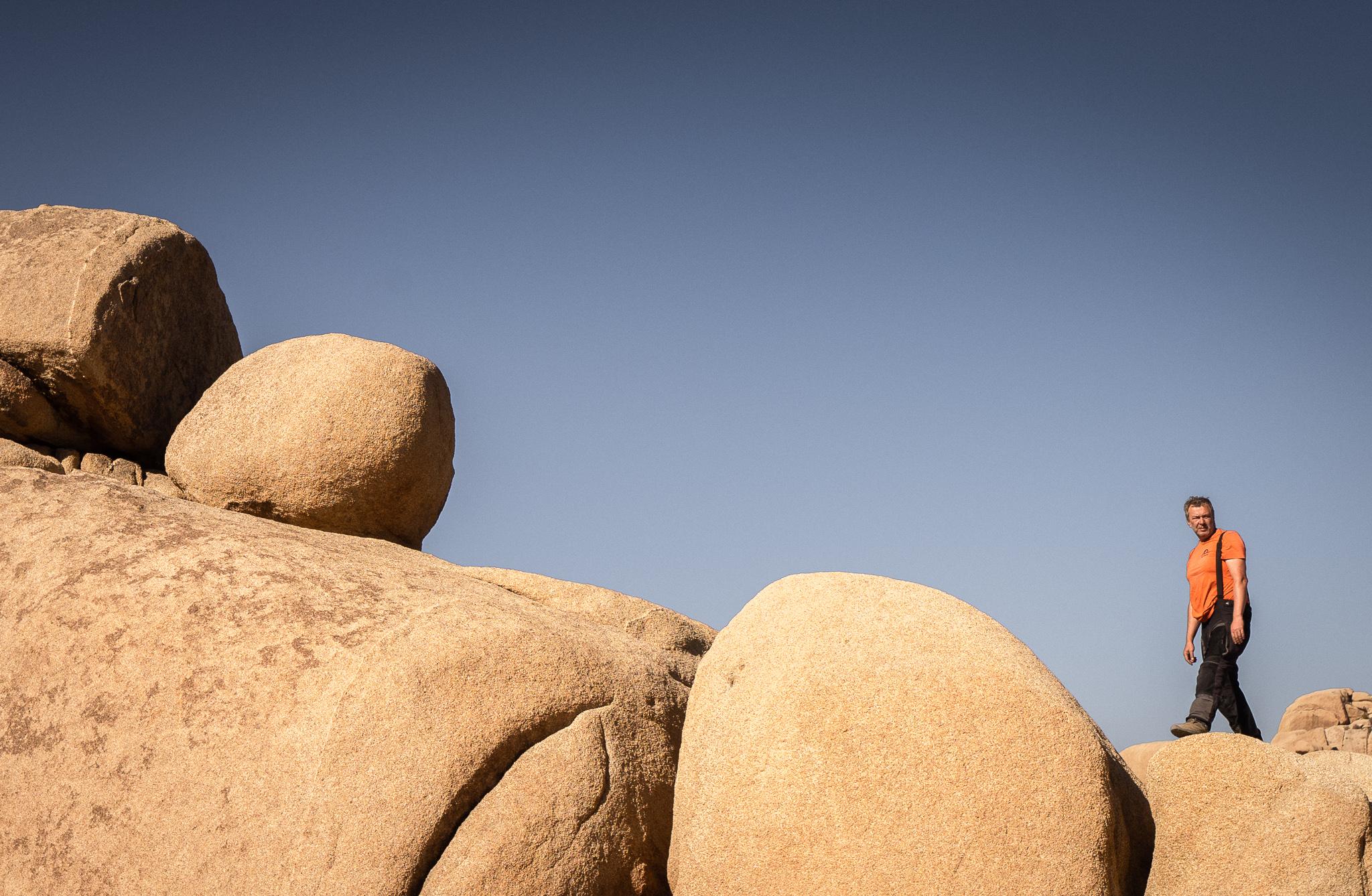 Joshua Tree Park