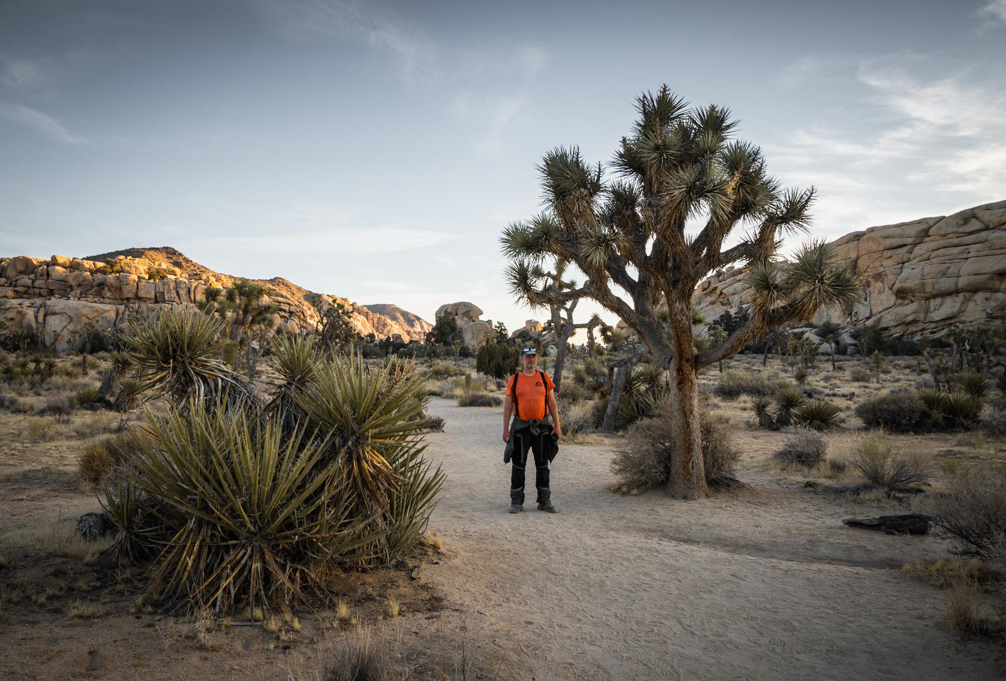 Joshua Tree Park