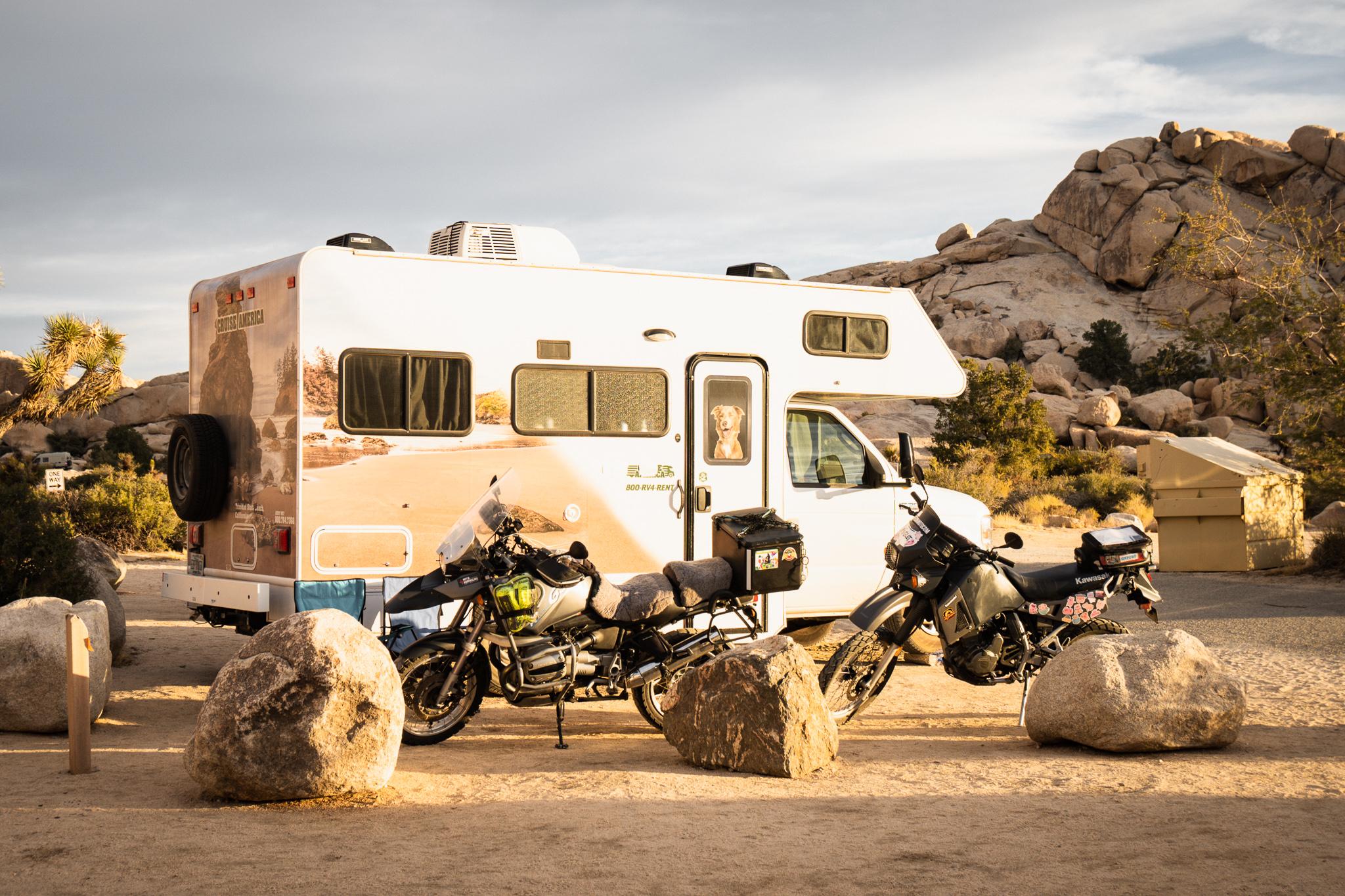 Joshua Tree Park