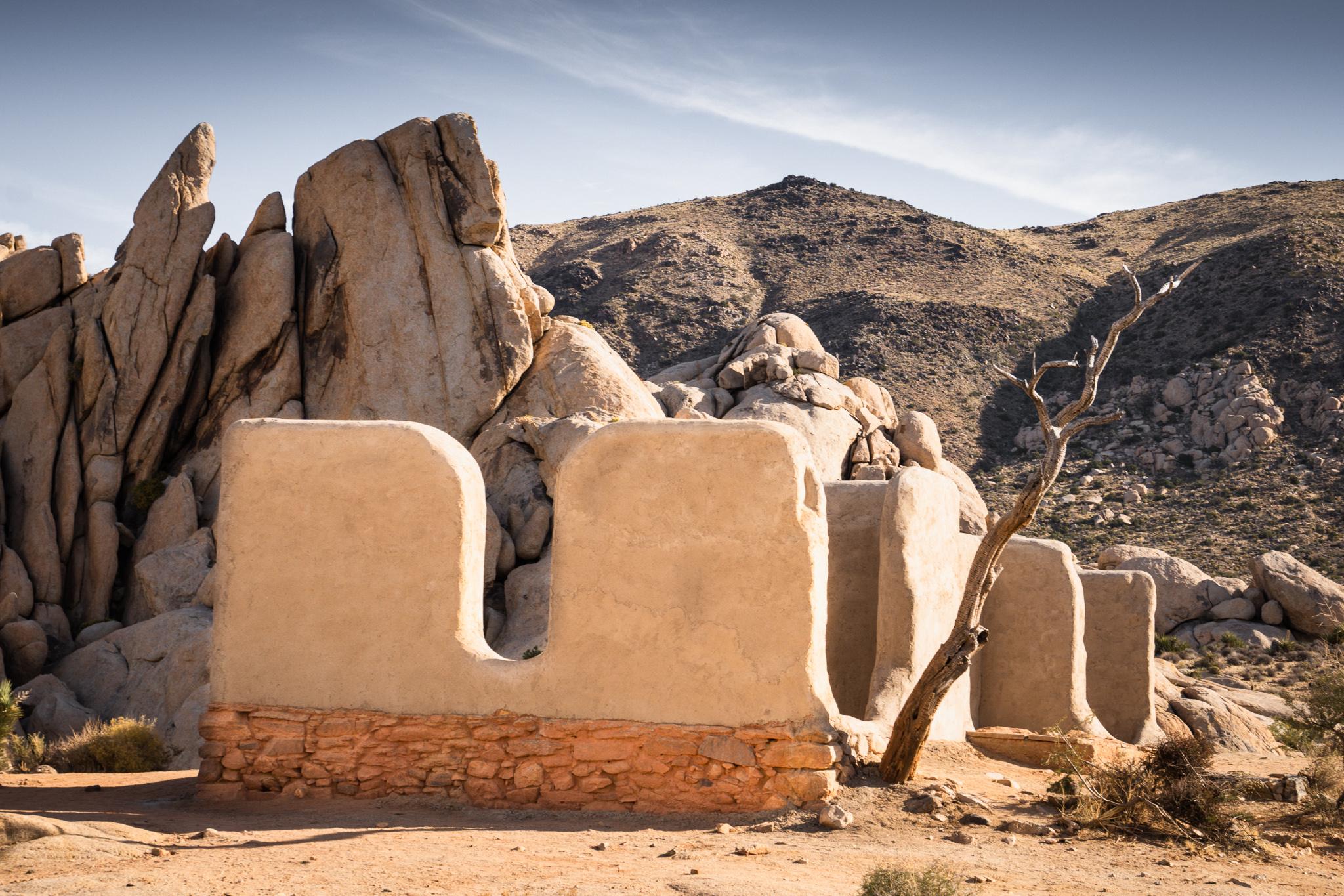 Joshua Tree Park