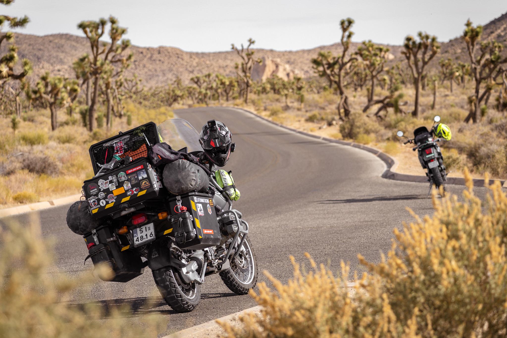 Joshua Tree Park