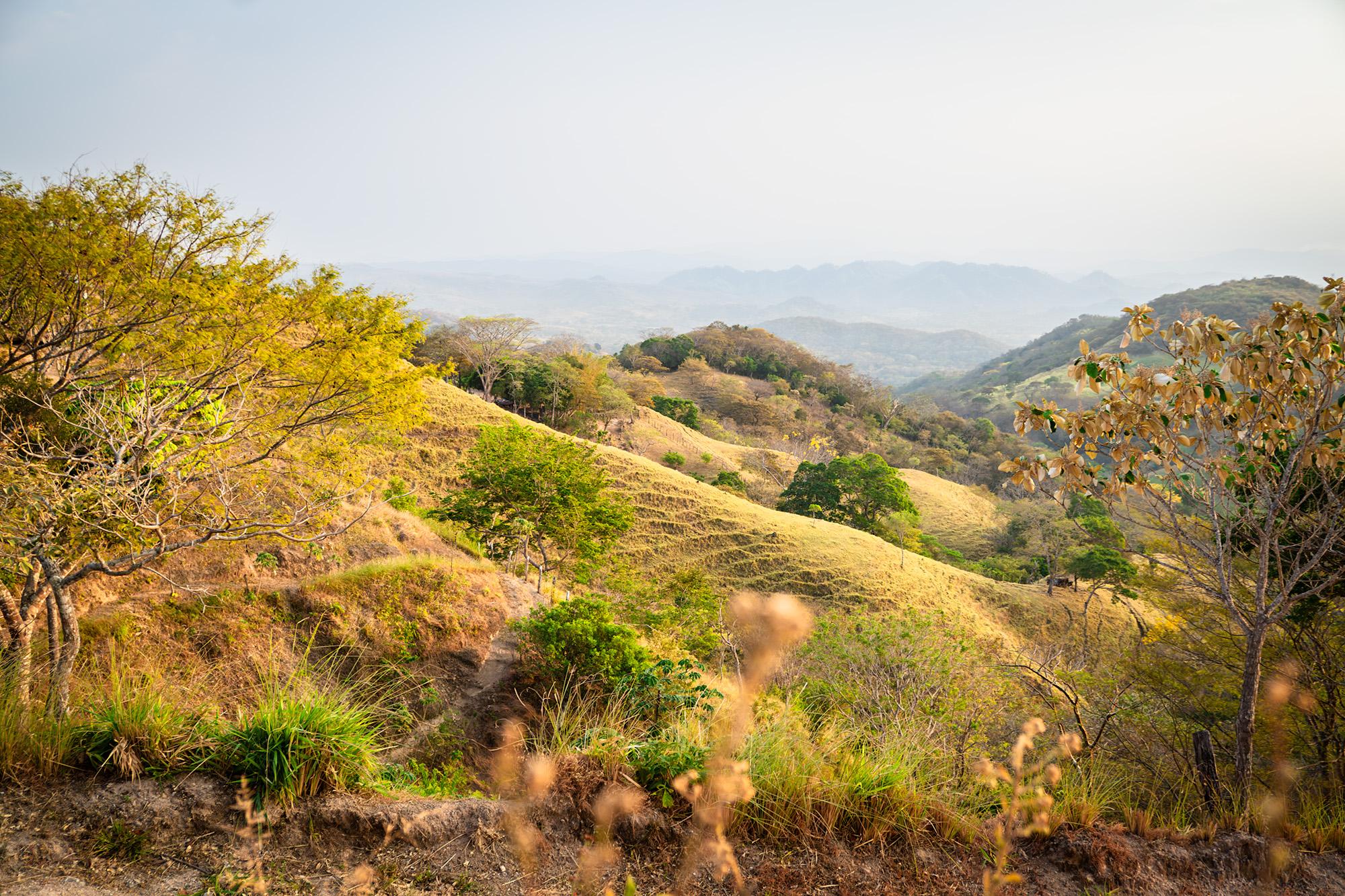 Colima Goldmine