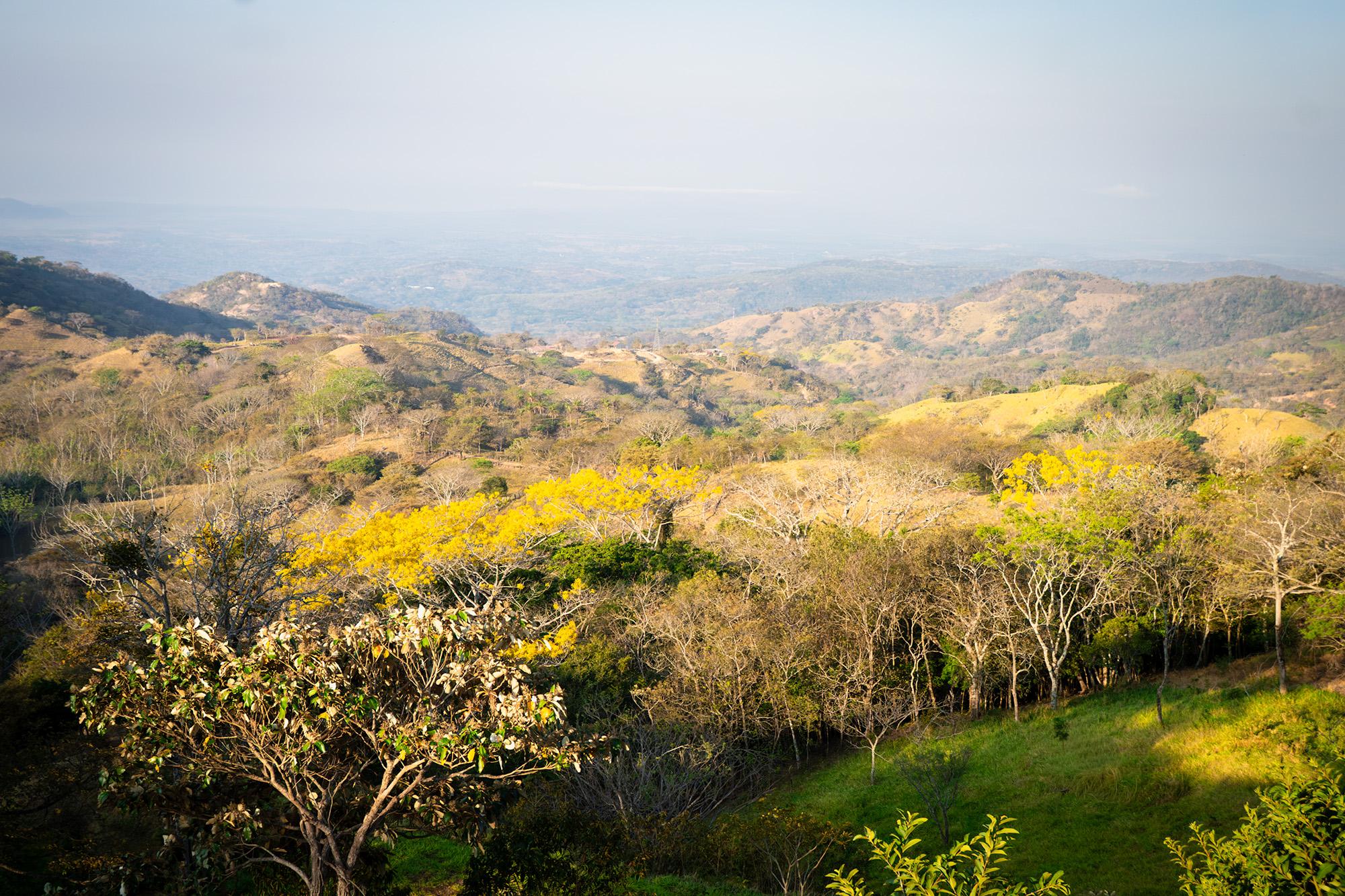 Colima Goldmine