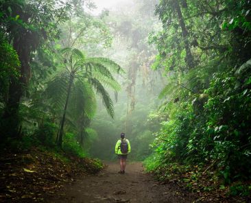 Monteverde