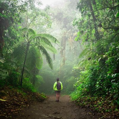 Monteverde