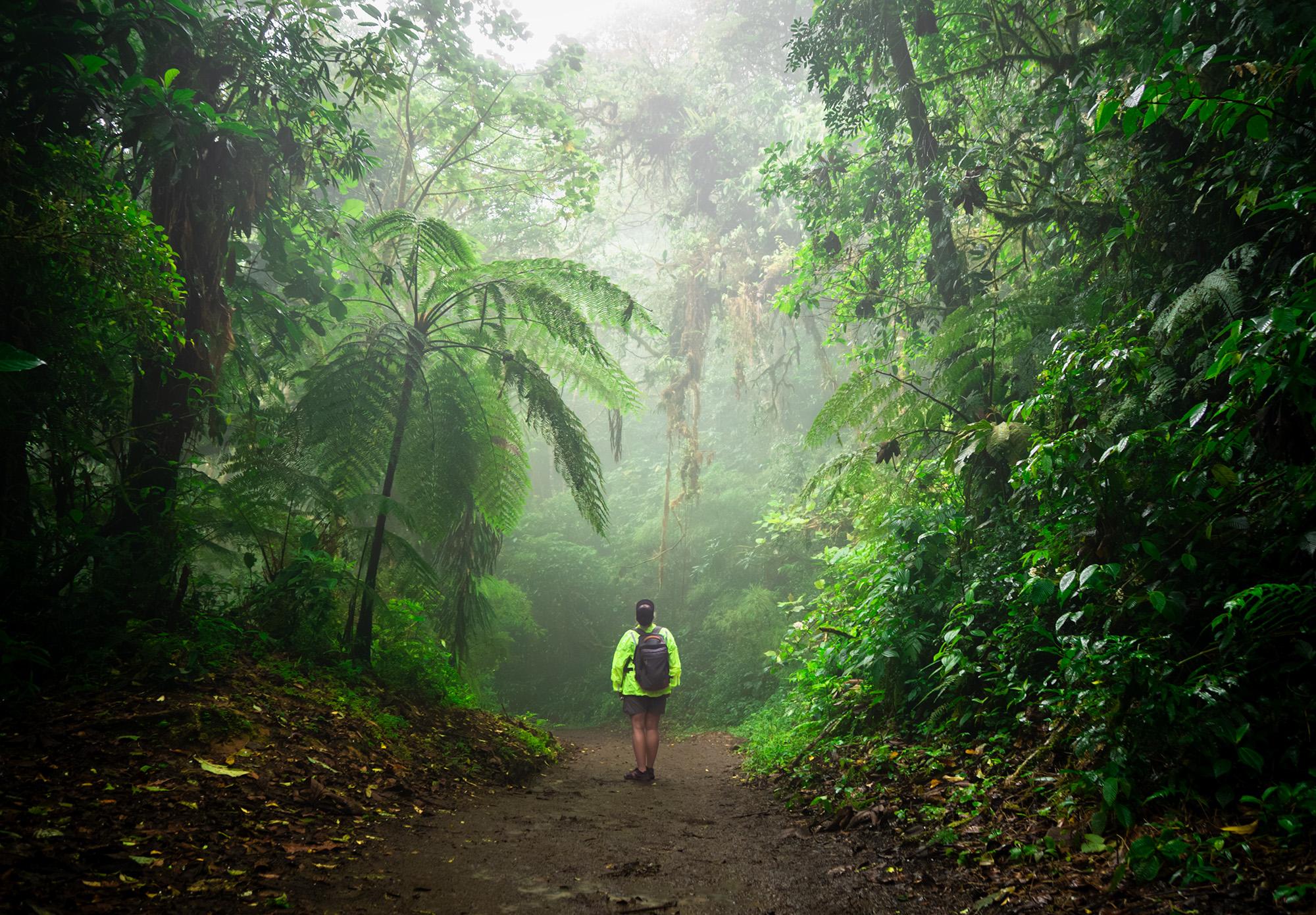 Monteverde