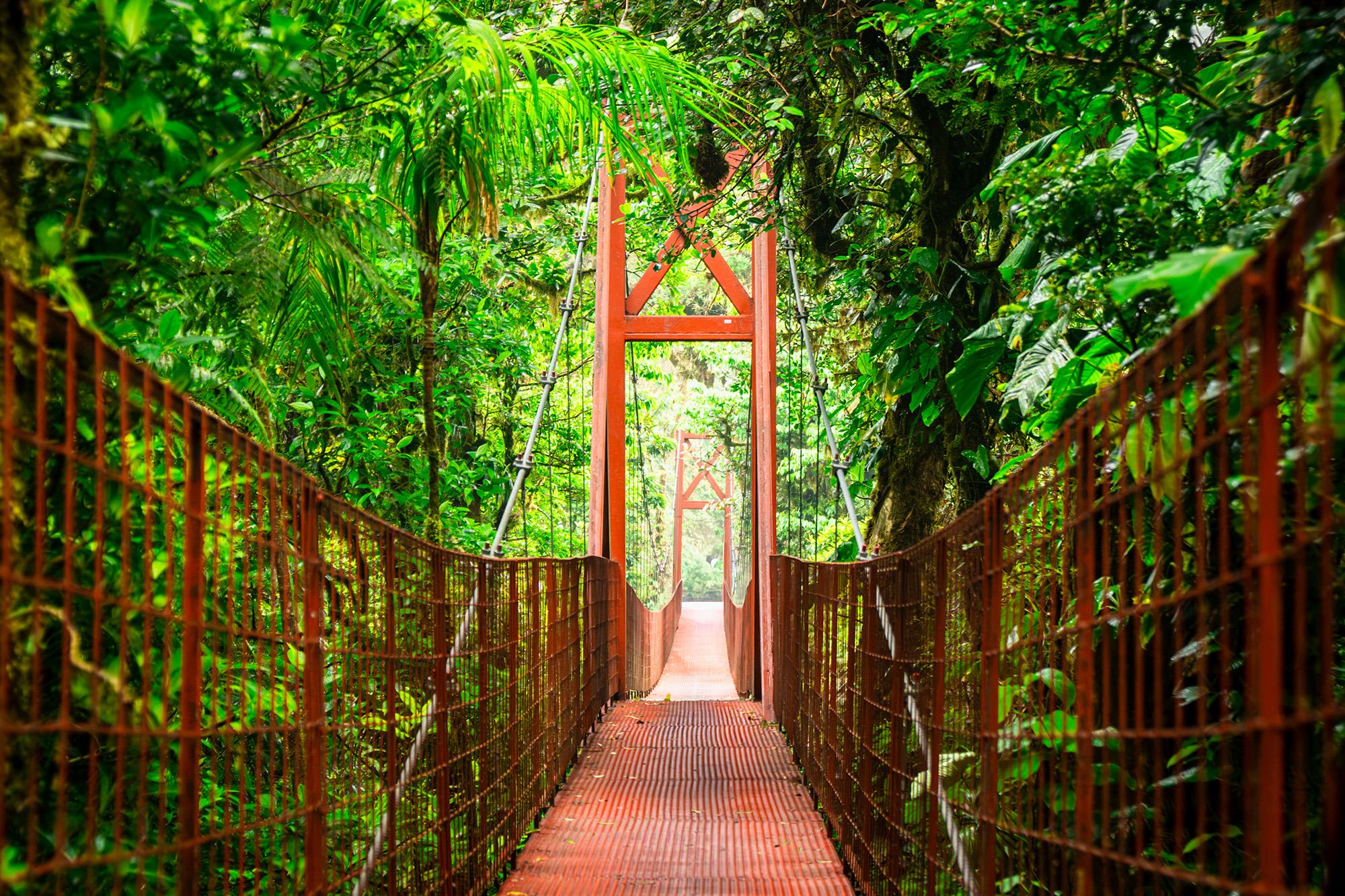 Monteverde