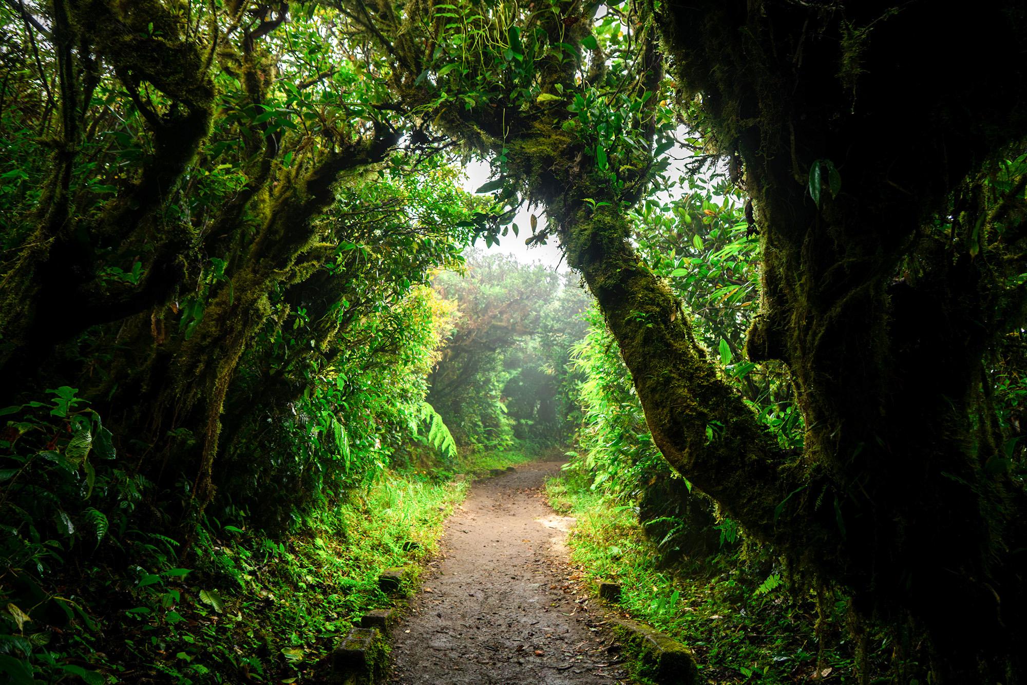 Monteverde