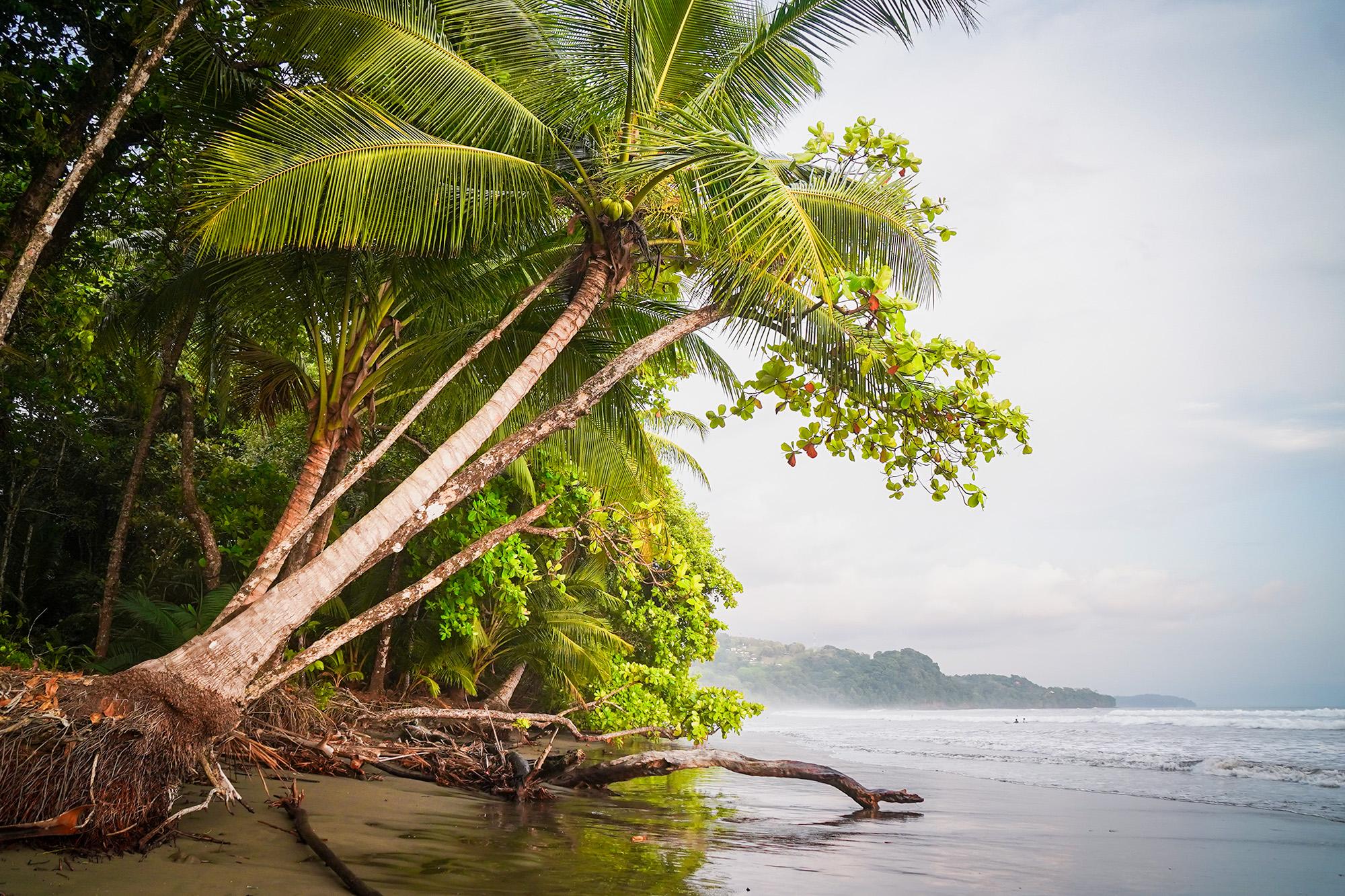 Playa Uvita