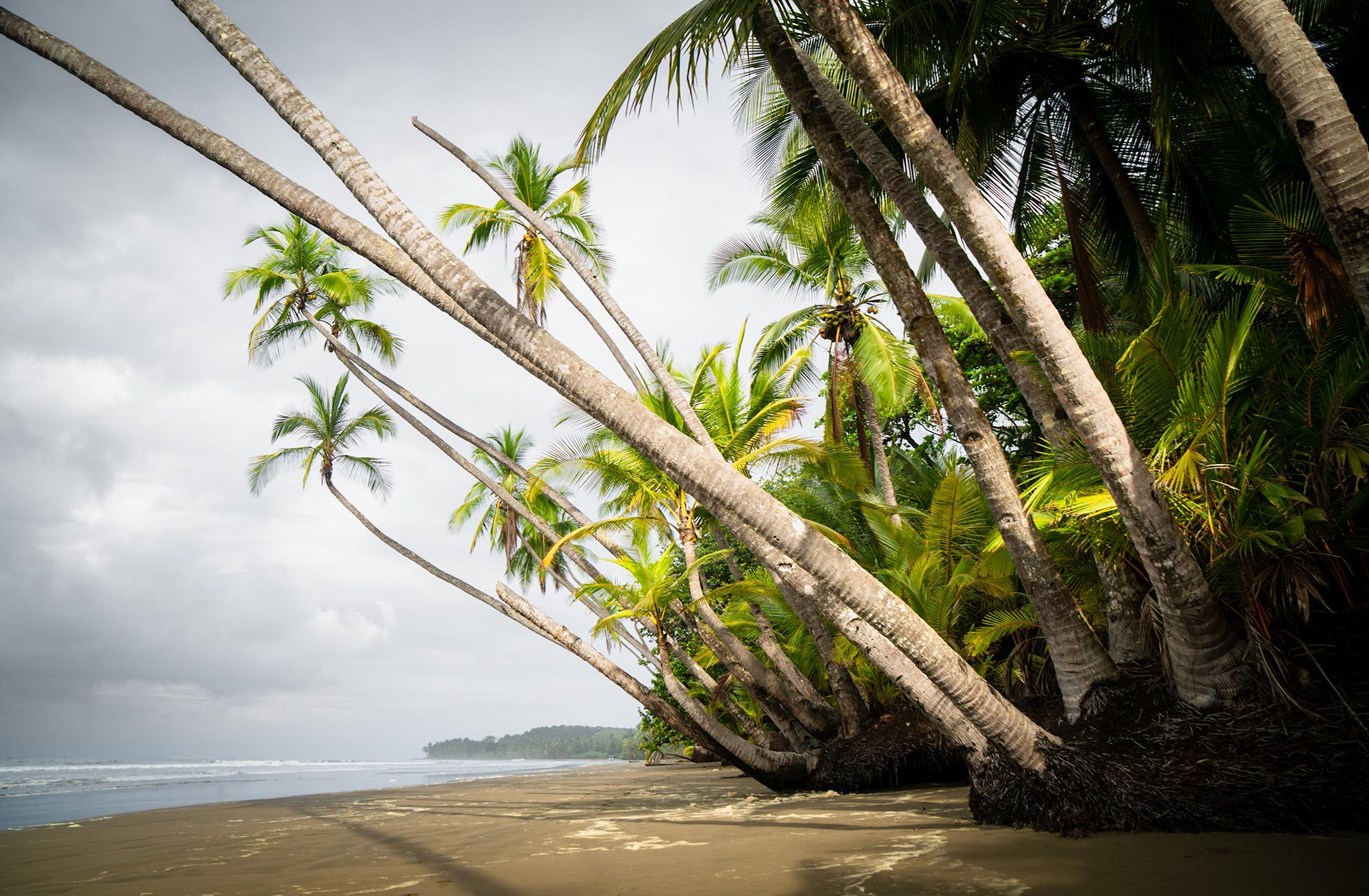 Playa Uvita