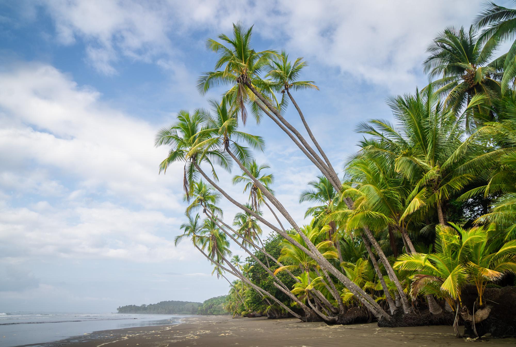 Playa Uvita
