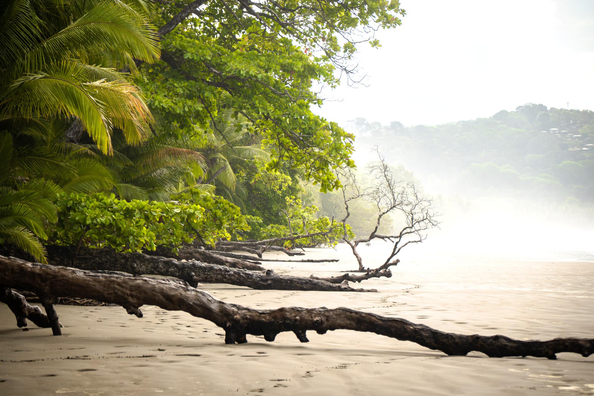 Playa Uvita