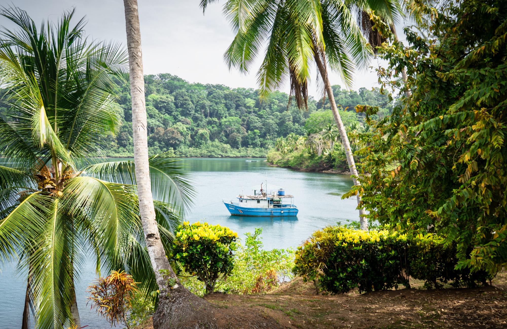 Puerto Jimenez